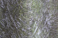 Crudwell fibreglass roof work